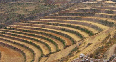 terrazas andinas