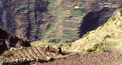 terrazas
