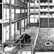 corral: escenario