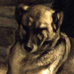 perro