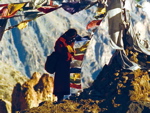 Milarepa