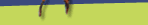 traitnet graphic image