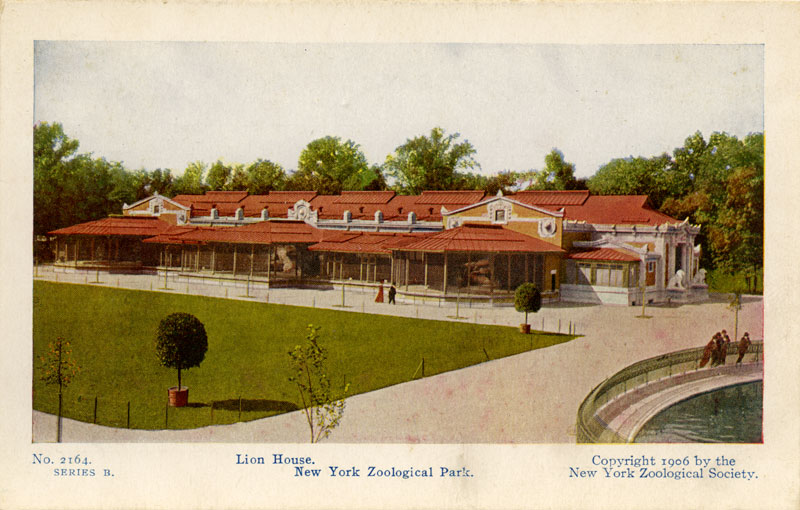 New York Zoological Park postcard
