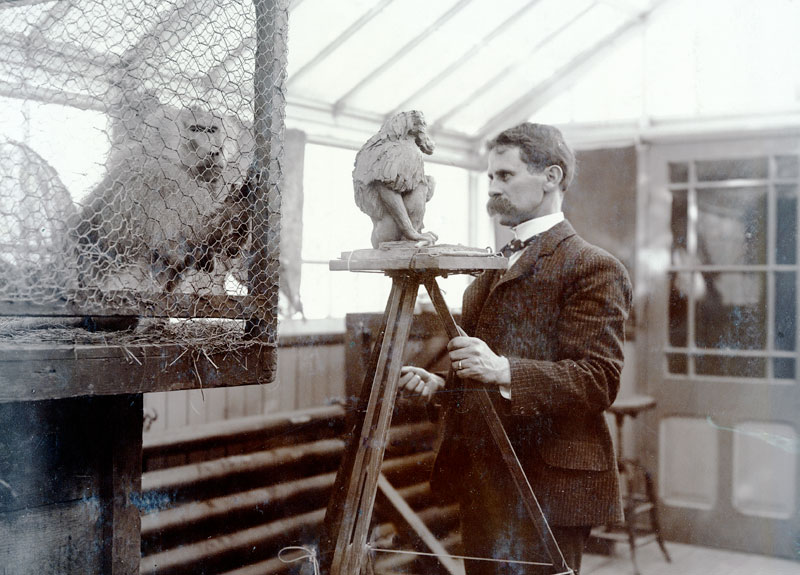 A. P. Proctor sculpting a baboon at the Bronx Zoo