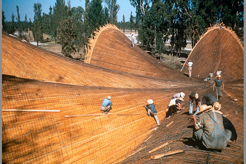 Restaurante Los Manantiales (The Springs Restaurant), Xochimilco, México. Photograph by Juan Guzmán. Manuel Toussaint photographic archive–UNAM