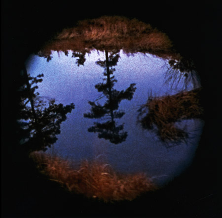 Nancy Holt, Pine Barrens, 1975