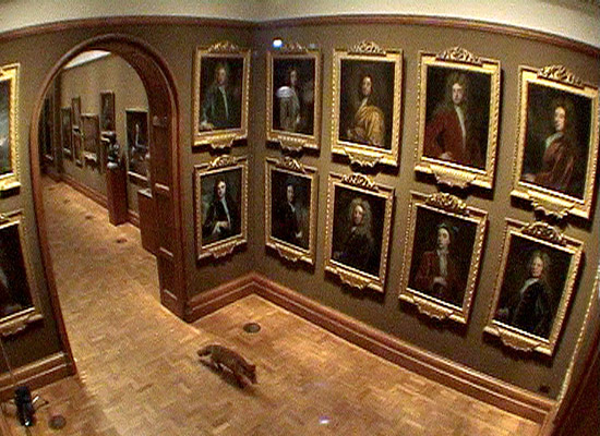 Francis Alÿs, The Nightwatch, 2004. Video documentation of an action, National Portrait Gallery, London.
