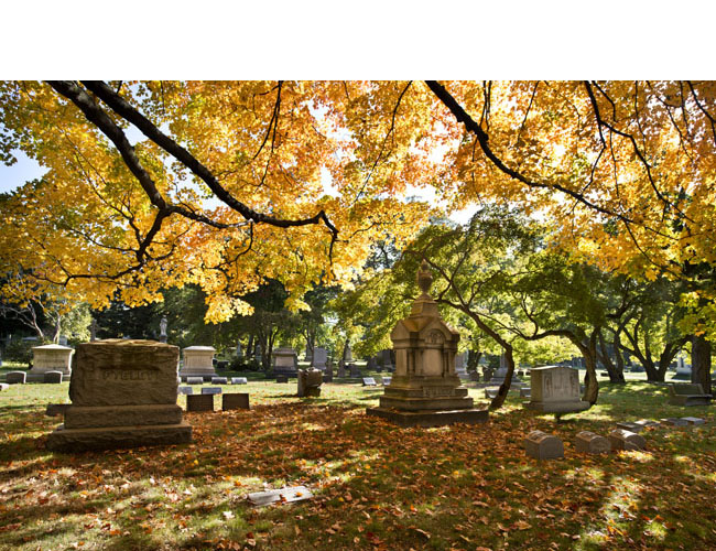 Woodlawn Cemetery in the Fall