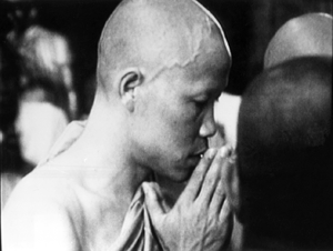 Blue Collar and Buddha Photo