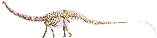 seismosaurus fossil