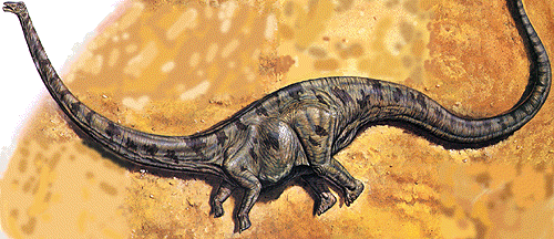 seismosaurus fossil