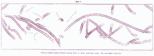 plate 3 Trails on Potsdam