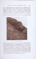 Limestone
