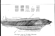 Geologic map of Trilobite Mountain 