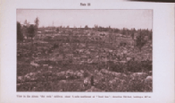 plate 18 View in the Altona