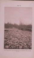 plate 22 View looking north 