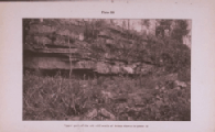 plate 26 Upper part