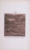 plate 6 Trenton limestone