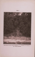 plate 7 North bank
