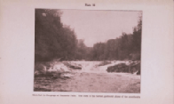plate 18 Main fall