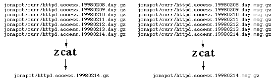zcat flow diagram
