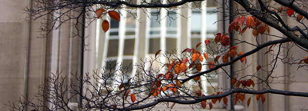 Autumn colors on campus.