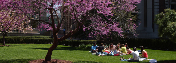 Students study outside on a warm spring day.