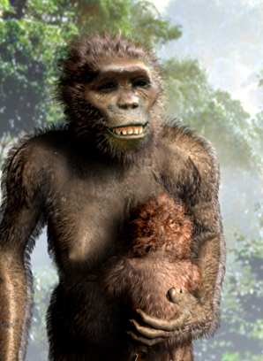 afarensis