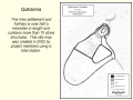 slide8.jpg