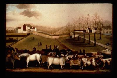Dairy Farmers