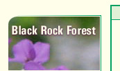 Black Rock Forest home