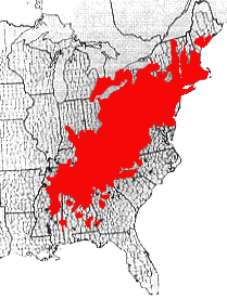 Chestnut range.gif (22847 bytes)