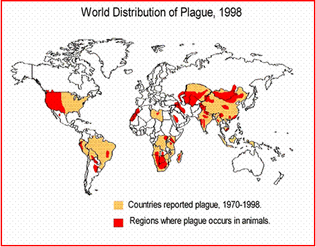 Bubonic Plague Chart