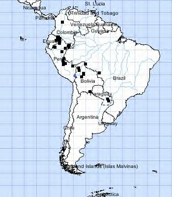 miconia distribution South Amrrica