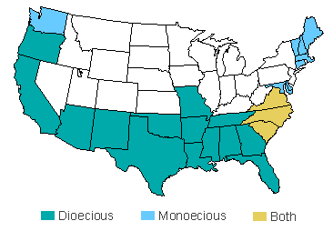 Current U.S. range map of Hydrilla verticillata