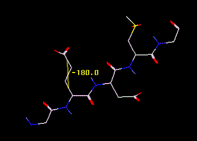 Torsion Marker