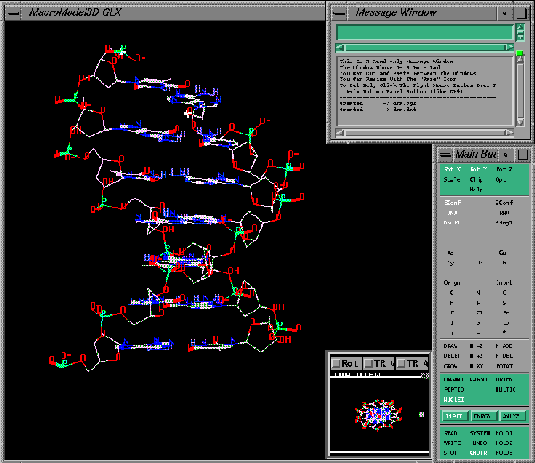 DNA