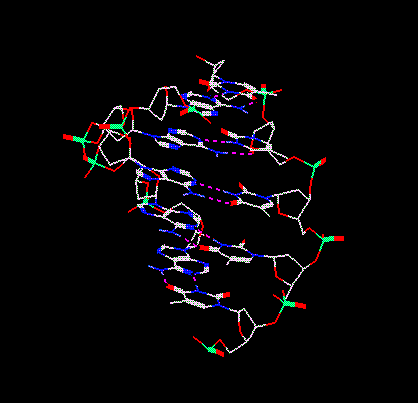 Hydrogen Bonds