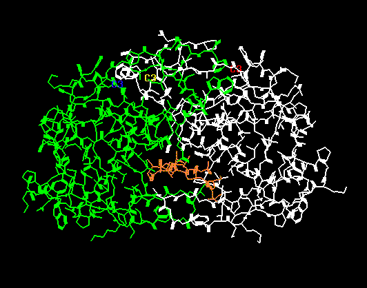 HIV Colored By Molecule