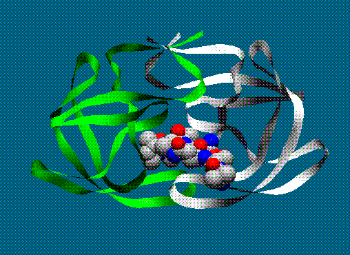 Ribbon with CPK Inhibitor