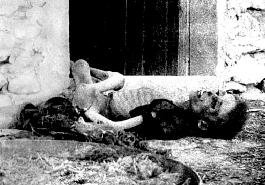 Corpse of a young Armenian boy starved to death