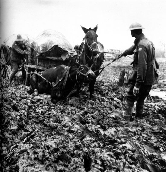 Horses in the Mud at Passchendaele