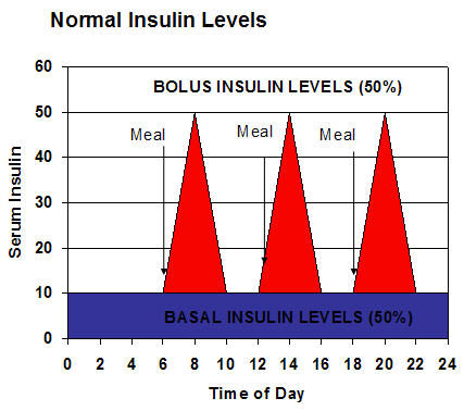 Insulin Level Chart