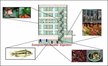 despommier vertical farm essay despommier vertical farm essay