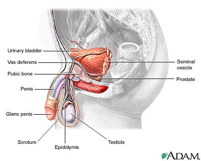 gastric cancer and genetics