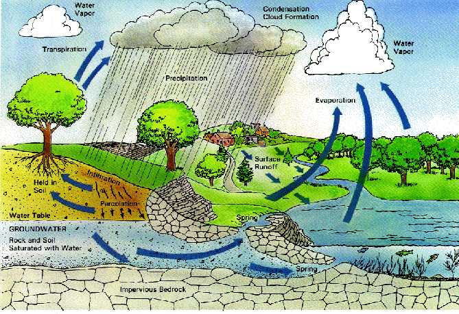 Rain Water Harvesting in India: Need, Methods and other Details