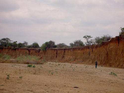 Africa_norain.jpg