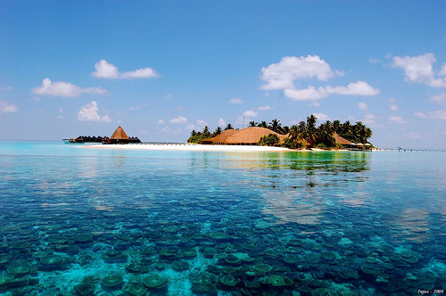 maldives1.jpg