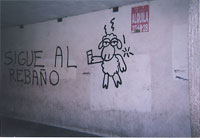Pintadas - Graffiti
