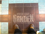 Madison Square Garden